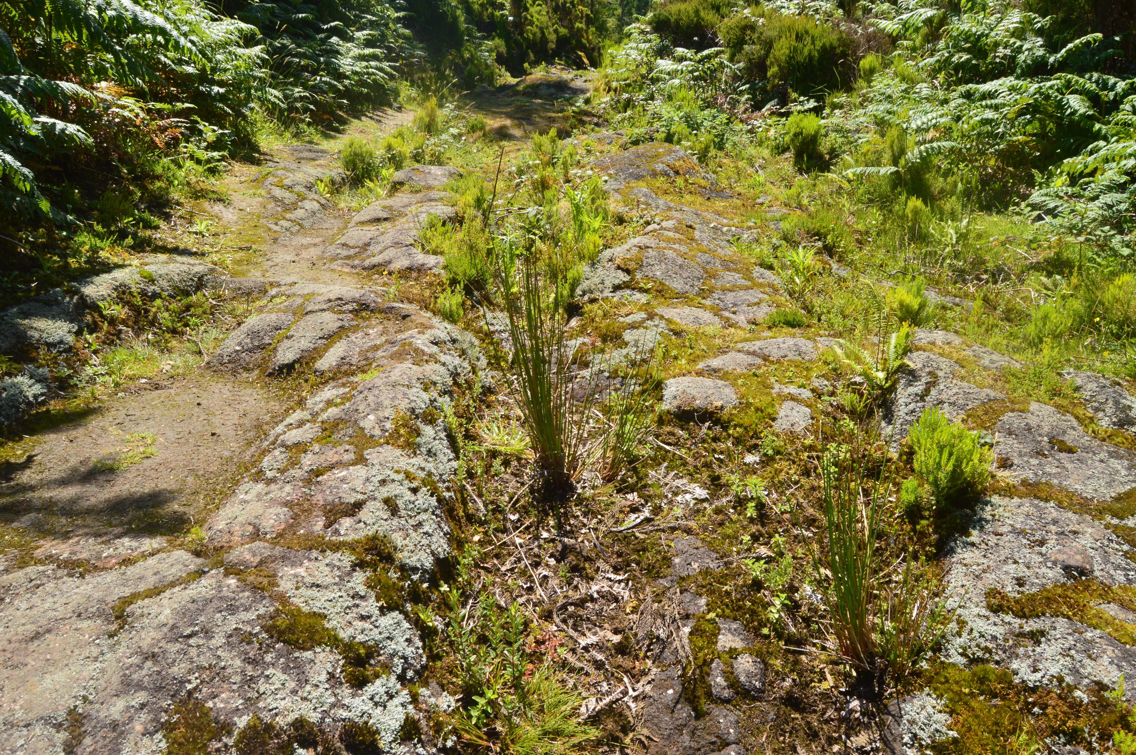 activity image
