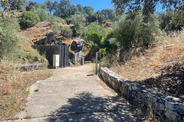 activity image