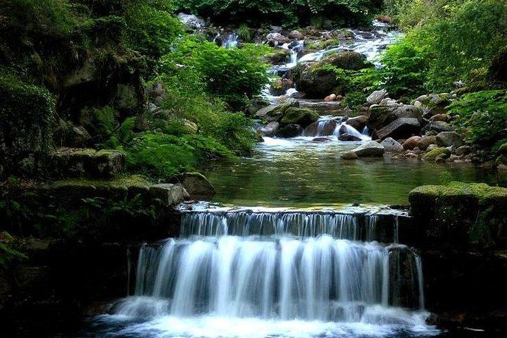 activity image
