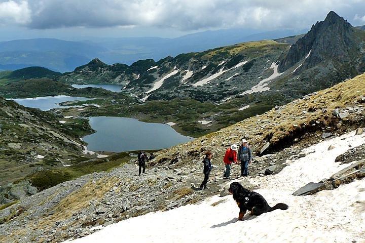 activity image