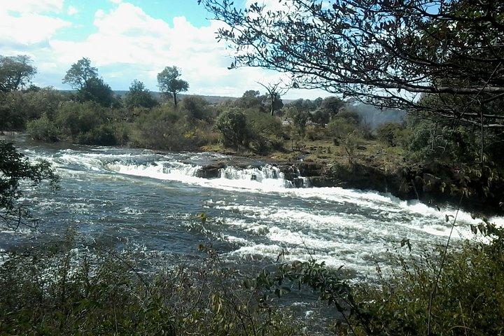 activity image