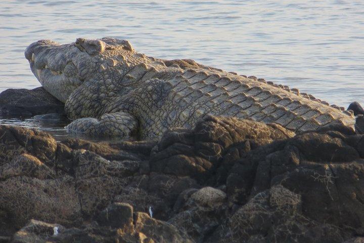 activity image