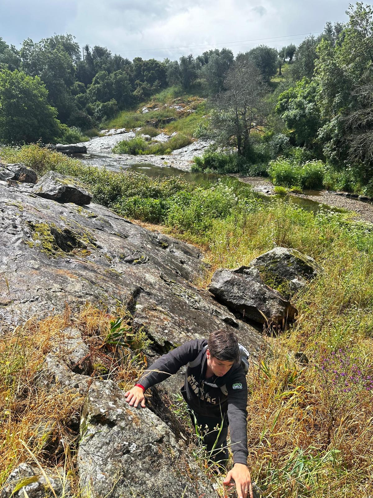 activity image
