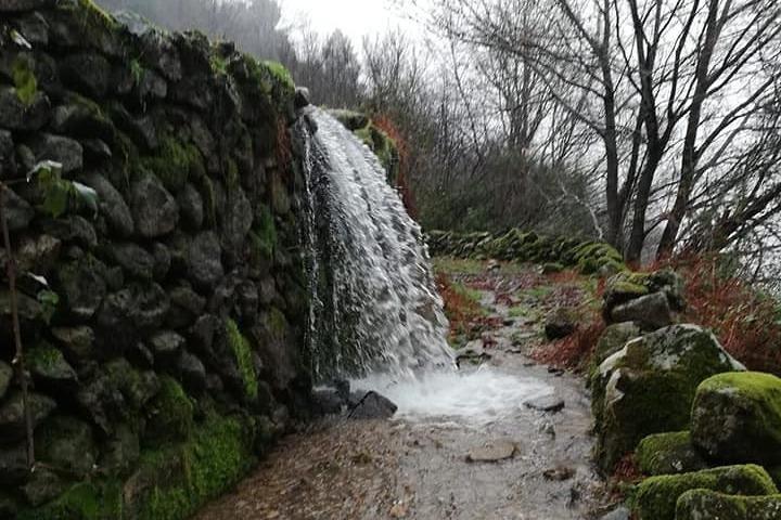 activity image