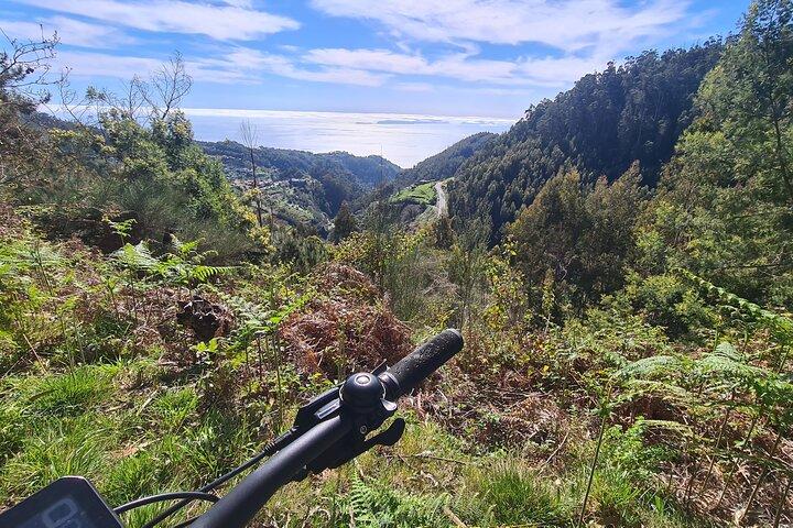 activity image