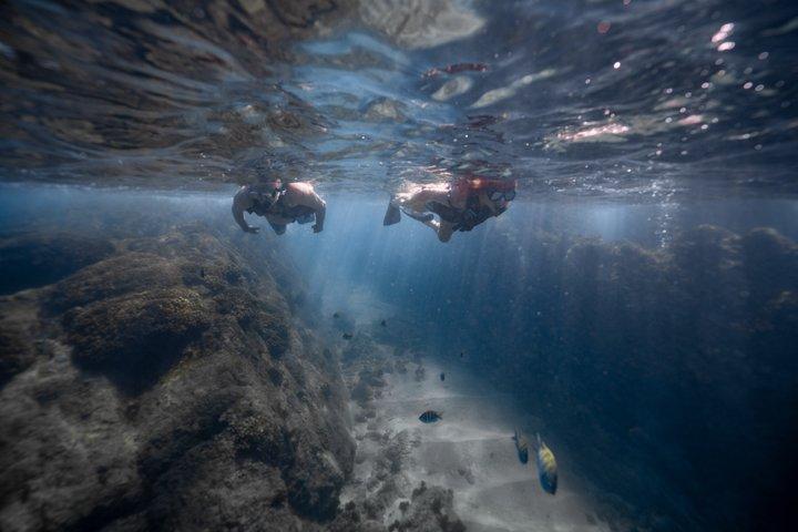 activity image