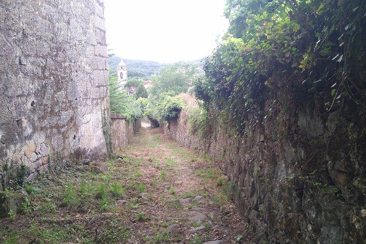 activity image