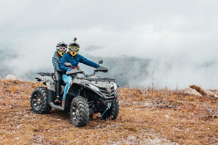 activity image