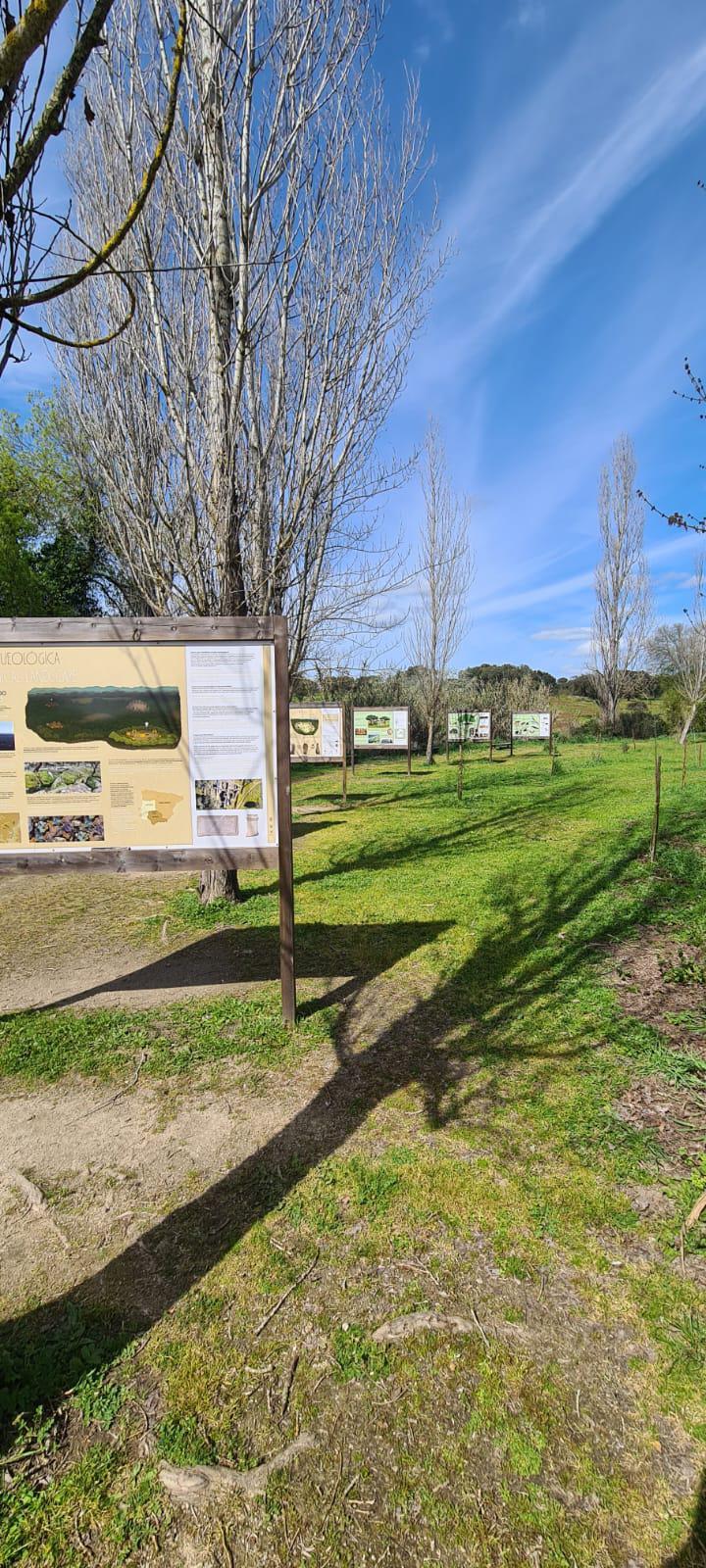 activity image