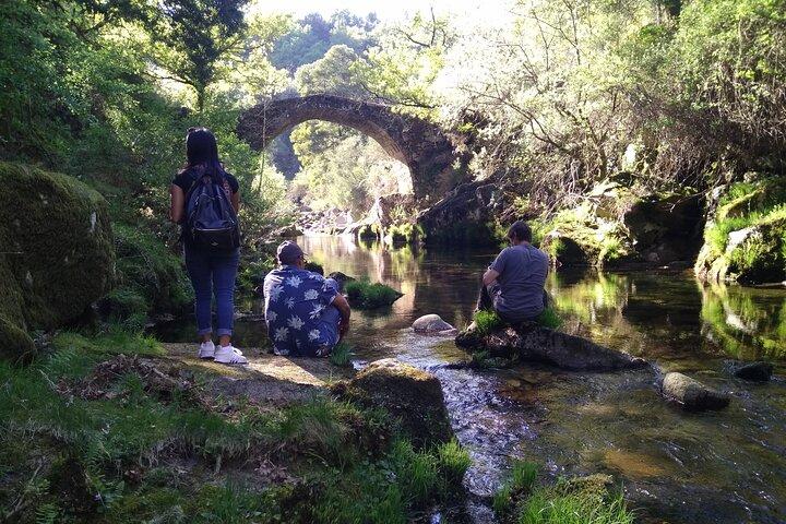 activity image