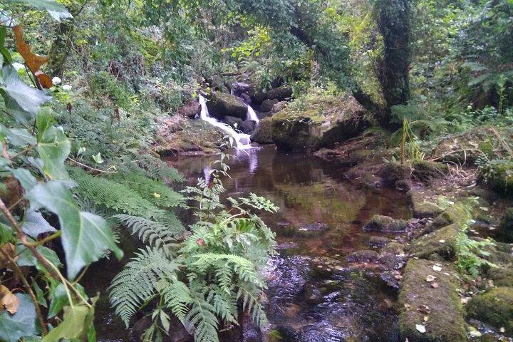 activity image