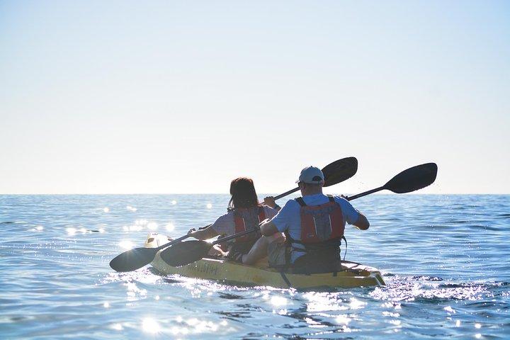 activity image