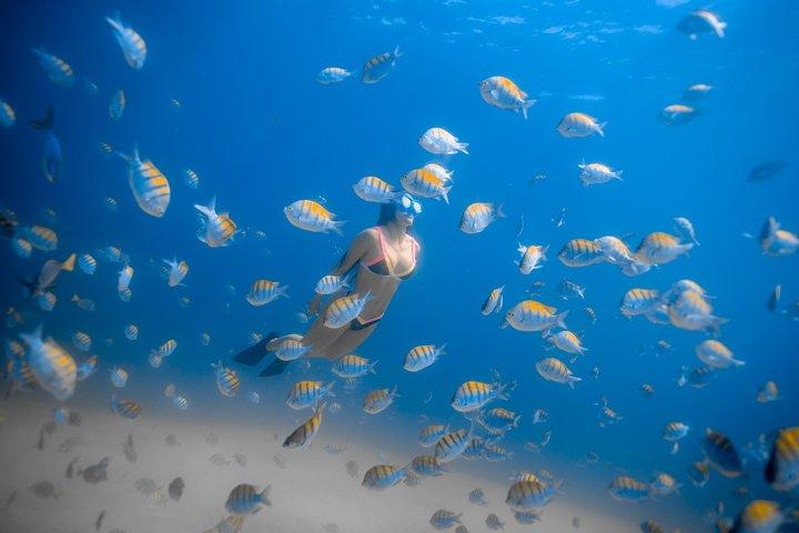 activity image