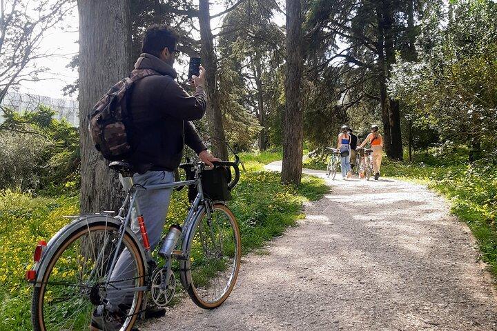 activity image