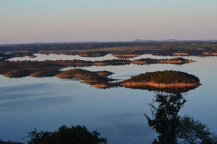 activity image
