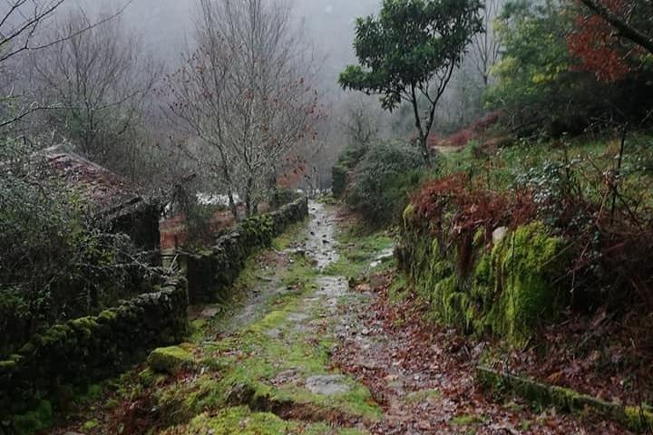 activity image