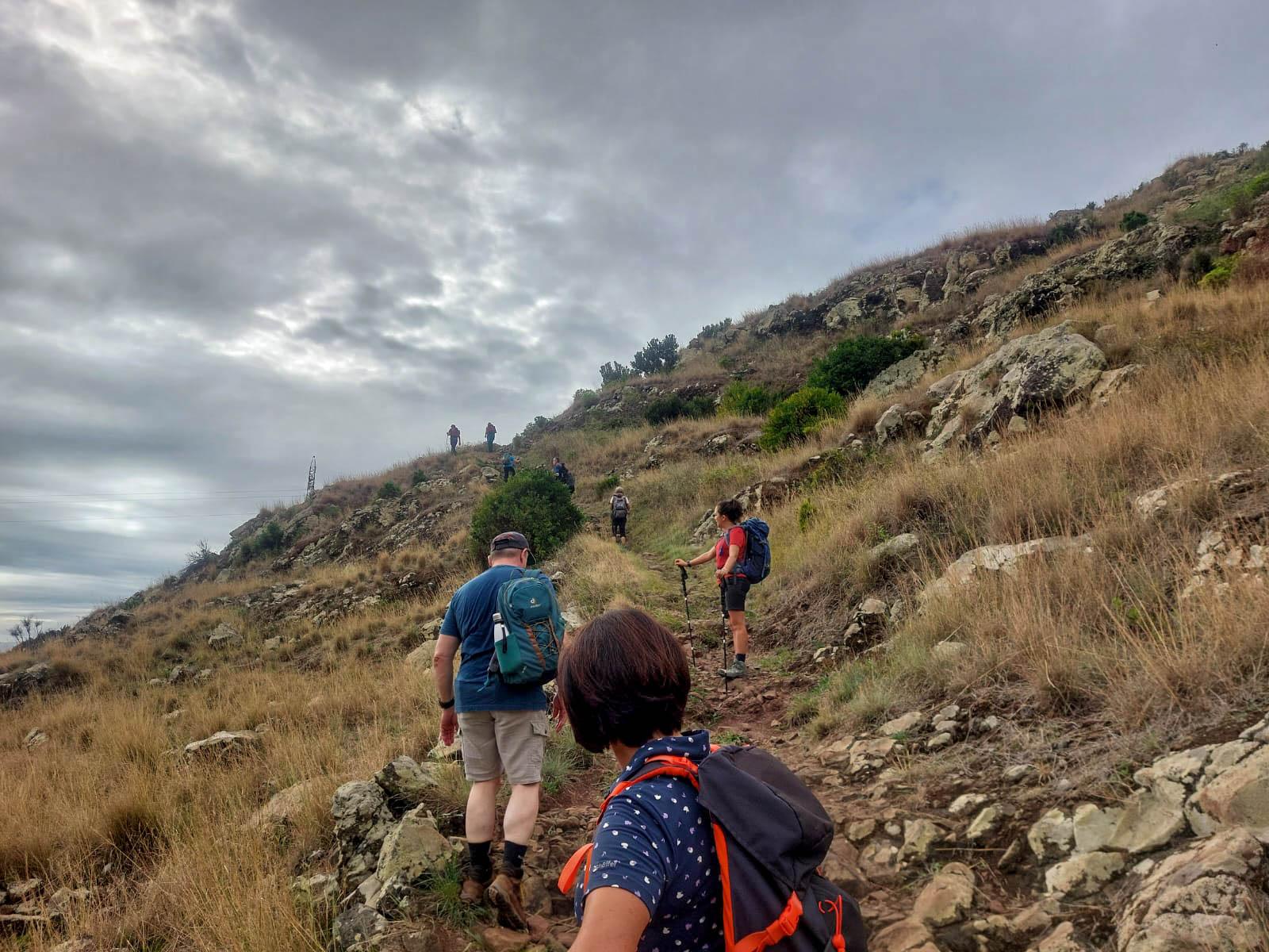 activity image