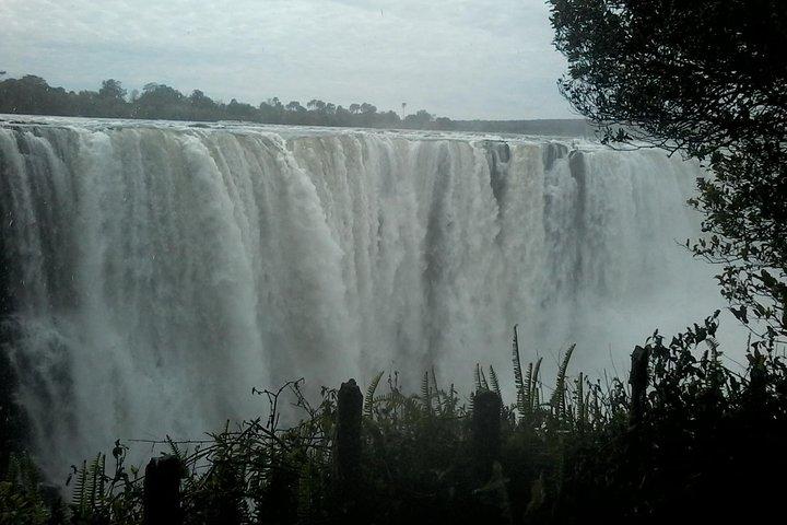activity image