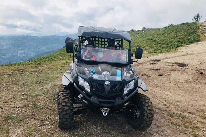 activity image