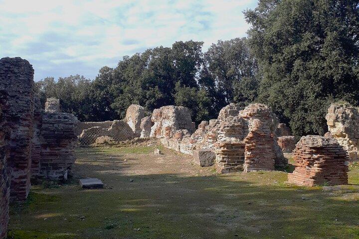 activity image