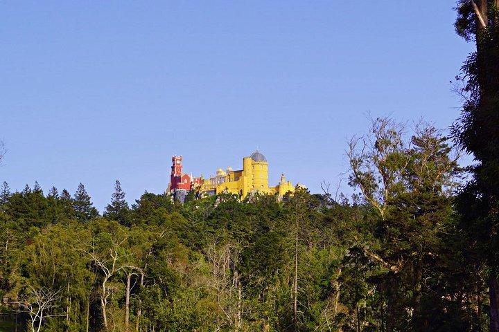 activity image
