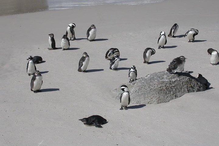 activity image