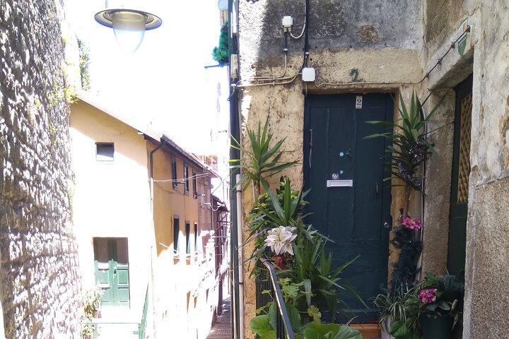 activity image
