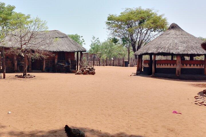 activity image