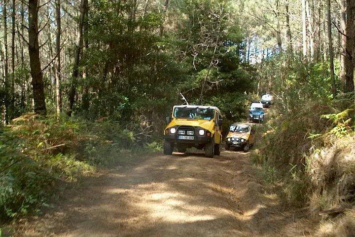 activity image