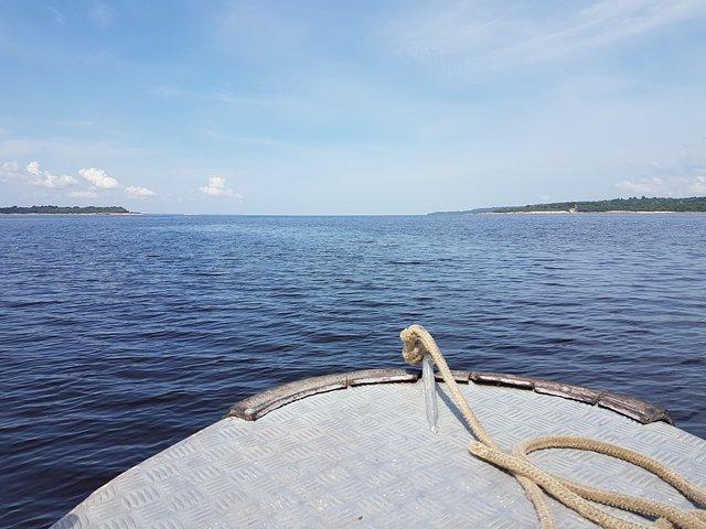 activity image