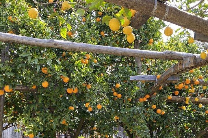 activity image