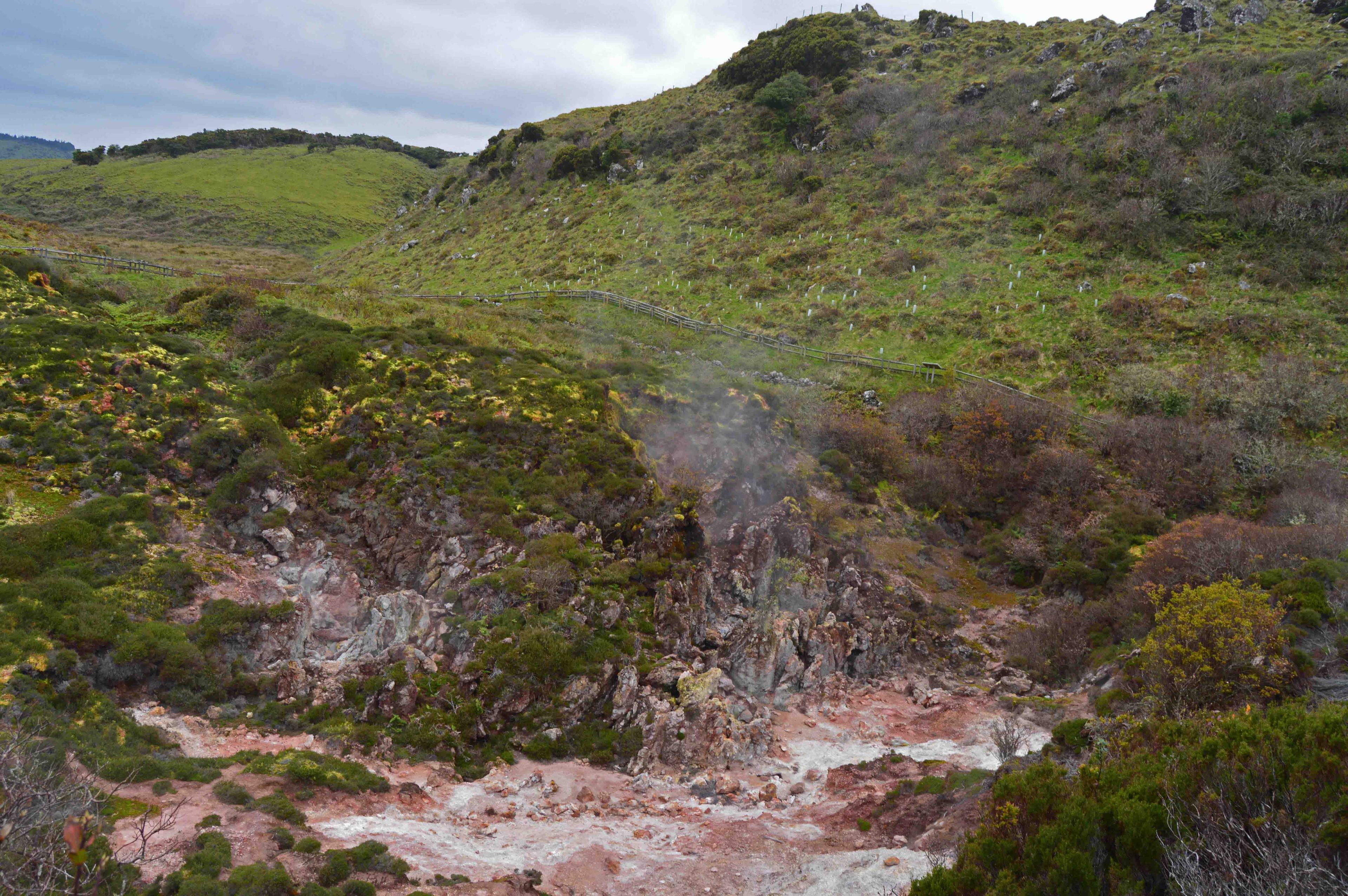 activity image