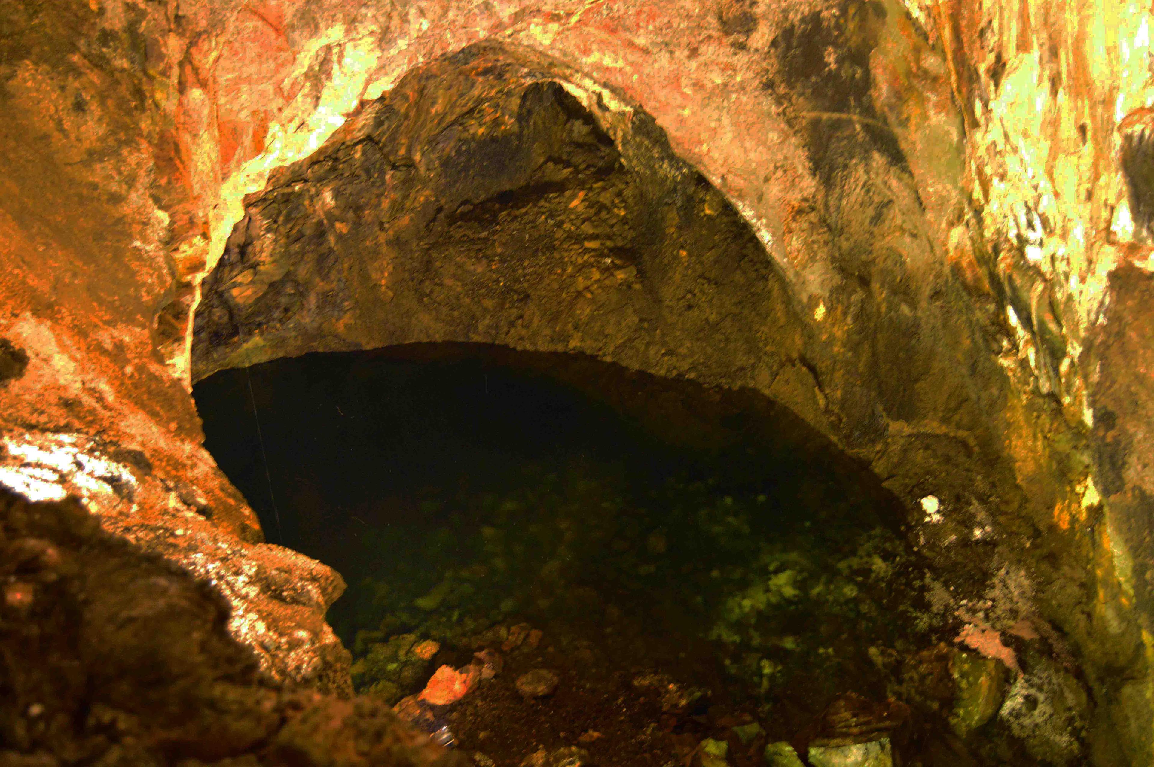 activity image
